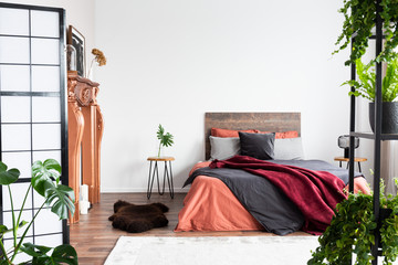 Copy space on empty white wall of rustic bedroom interior with king size bed with orange bedding and burgundy blanket