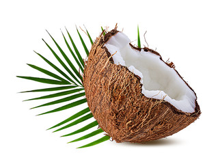 coconuts isolated on the white background