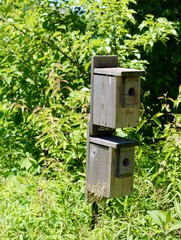A close view of the double wood birdhouses in the park.