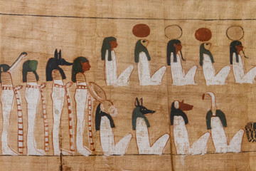 Close-up of the ancient egyptian papyrus