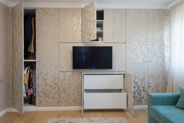 Interior of a luxury living room with wardrobe wall