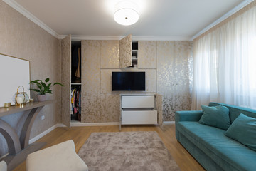 Interior of a luxury living room with wardrobe wall