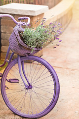 Fototapeta na wymiar Purple Bicycle with Lavender Flowers in a Basket. Photo in retro style. Toned image. Selective focus.