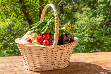 Basket with ripe vegetables on a rustic wooden table on a background of trees in the yard