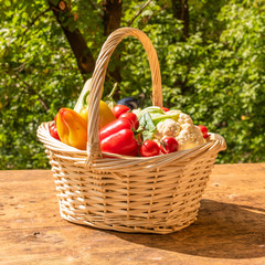 Basket with ripe vegetables on a rustic wooden table on a background of trees in the yard on a sunny day, close-up