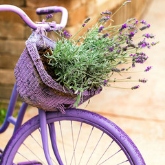 Purple Bicycle with Lavender Flowers in a Basket. Photo in retro style. Toned image. Selective focus. © Ali Safarov