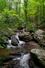 Obraz premium small waterfall in the forest