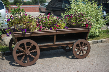 old wooden cart with flowers
