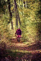 Obraz premium in scenic orange forest