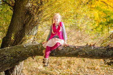 sitting in the tree branch in autumnal sunset atmosphere