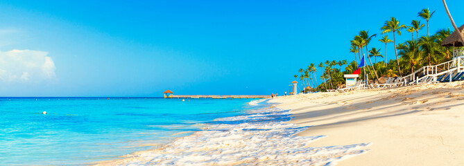 Beautiful beach with palm trees. Tropical paradise beach with white sand. Summer tropical landscape, panoramic view. Summer vacation travel holiday background concept. Caribbean beach. Palm beach