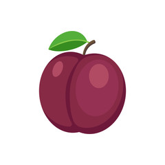 plum isolated on white background. Vector illustration.