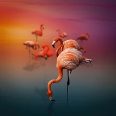 Rolgordijnen Flamingo's © nedimmaden