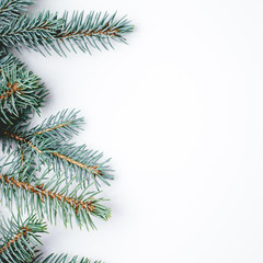 Fir branches on white background. Christmas wallpaper. Flat lay, copy space.