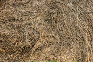 Closeup of hay roll in an agricultural field.