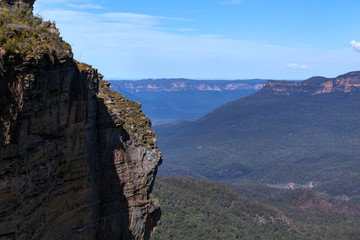Fototapeta premium Lookout on the Blue Mountains.