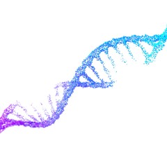 damaged DNA helix