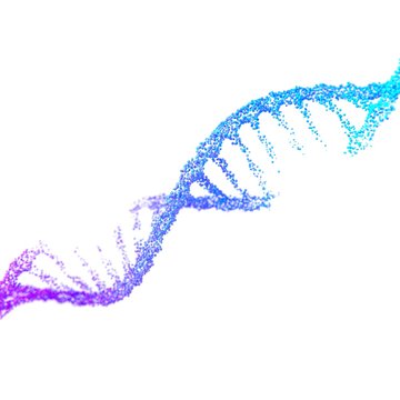 Damaged DNA Helix