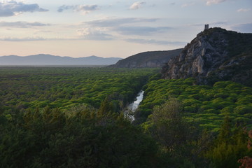 Parco della Maremma