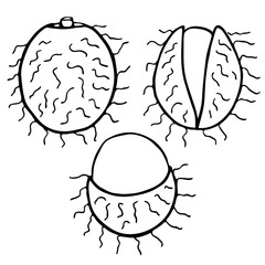 Outline fruit rambutan