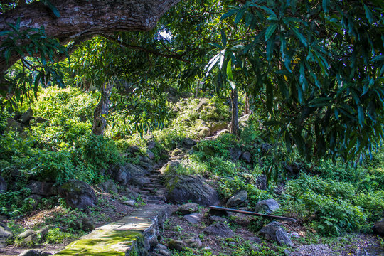 Ancient Stone Path and Staircase Leads into the Overgrown Jungle on Zapatera Island outside of Granada, Nicaragua