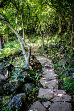 Ancient Stone Pathway Leads through the Jungle Trees and Boulders towards the Ruins on Zapatera Island outside of Granada, Nicaragua