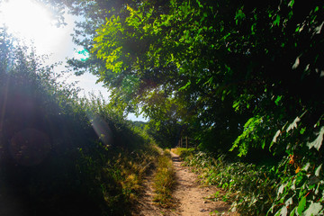 Fototapete bei efototapeten.de bestellen   