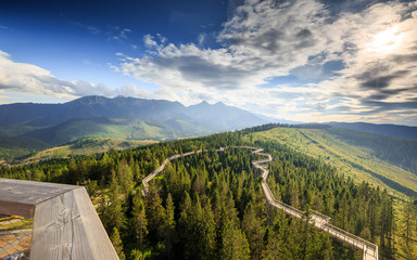 Fantastic Slovak Bachledova Dolina landscape with mountains, trial above the trees and blue sky © losonsky