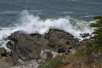 High surf and waves crashing on the Pacific Coast at Sea Ranch, California