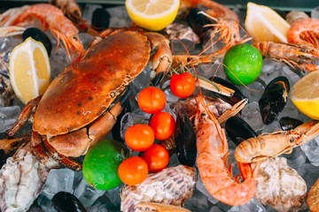 Seafood on ice. Crabs, sturgeon, shellfish, shrimp, Rapana, Dorado, on white ice.