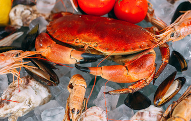 Seafood on ice. Crabs, sturgeon, shellfish, shrimp, Rapana, Dorado, on white ice.