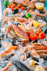 Seafood on ice. Crabs, sturgeon, shellfish, shrimp, Rapana, Dorado, on white ice.