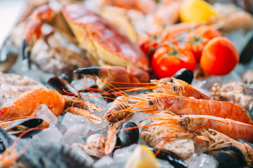 Seafood on ice. Crabs, sturgeon, shellfish, shrimp, Rapana, Dorado, on white ice.