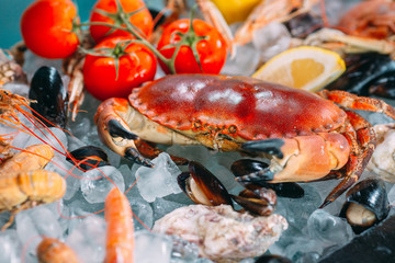 Seafood on ice. Crabs, sturgeon, shellfish, shrimp, Rapana, Dorado, on white ice.