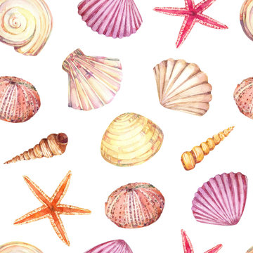 Watercolor seamless pattern with underwater life objects - seashells, starfish, corals and sea urchin.