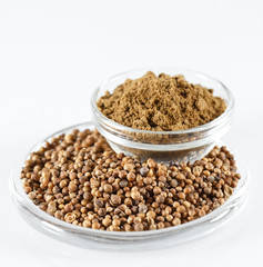 Coriander Isolated in white.