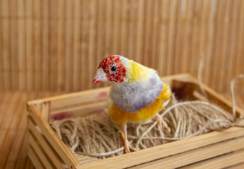 Portrait of a yellow redhead Gouldian Finch with a purple breast that changes its feathers. Perched on a small crate. On bamboo background.