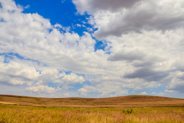 Obraz premium Russian open spaces. Crimea. Field. Summer Russian landscapes. . Grass and sky. Background summer landscape. Crimean fields