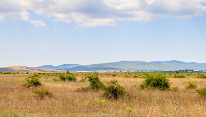 Russian open spaces. Crimea. Field. Summer Russian landscapes. . Grass and sky. Background summer landscape. Crimean fields