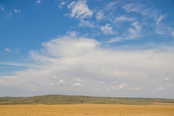 Obraz premium Russian open spaces. Crimea. Field. Summer Russian landscapes. . Grass and sky. Background summer landscape. Crimean fields