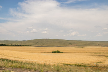 Fototapeta na wymiar Russian open spaces. Crimea. Field. Summer Russian landscapes. . Grass and sky. Background summer landscape. Crimean fields