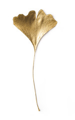 decorative gold sprayed / gilded gingko leaf isolated on a white background, elegant graphic design element