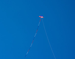 kite in the sky