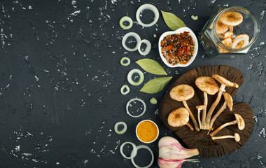 Fresh mushrooms with spices and herbs on black board. View from above. Copy space.