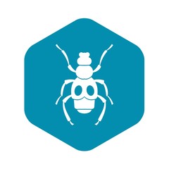 Beetle insect icon. Simple illustration of beetle insect vector icon for web