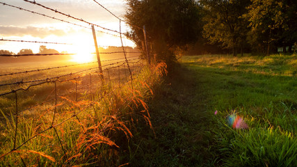 Rural livestock fencing, sunrise in a pasture - obrazy, fototapety, plakaty