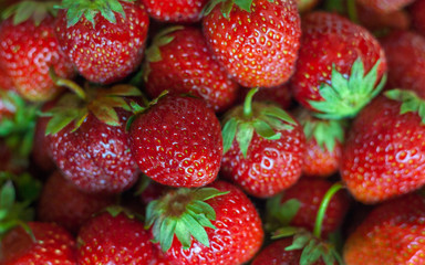 Background from freshly harvested strawberries. Top view