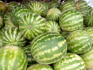 Ripe watermelons are sold on the market. Sale of watermelons in the grocery store.