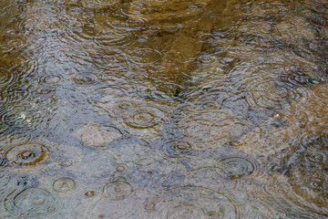 Rain drops splashing on the surface of water in a puddle texture background