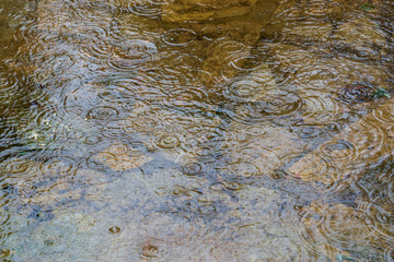 Rain drops splashing on the surface of water in a puddle texture background